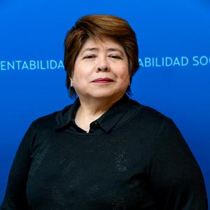 carolina hernandez lopez representante no academico consejo superior utem
